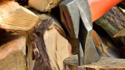Российские власти предложили ограничить экспорт древесины