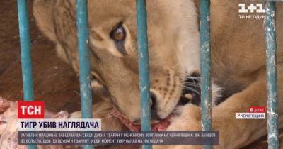 В Черниговской области тигр убил работника зоопарка: детали трагедии