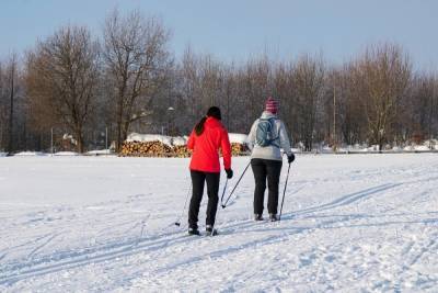 В Смоленске составили рейтинг популярных лыжных баз