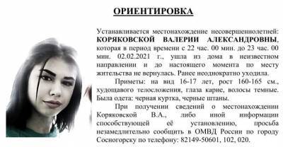 В Сосногорске полиция ищет пропавшую девушку