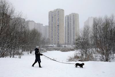 На Украине из-за шторма без света остались почти две сотни населенных пунктов