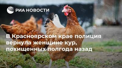 В Красноярском крае полиция вернула женщине кур, похищенных полгода назад