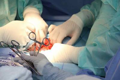 В США хирурги впервые в мире успешно пересадили пациенту лицо и обе руки