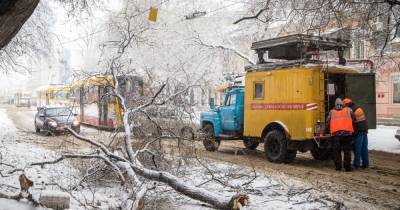 Шквальный ветер оставил без света почти две сотни городов и сел: какие области Украины пострадали больше всего
