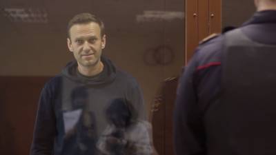 Навальный на заседании суда по делу о клевете на ветерана Великой Отечественной войны — видео