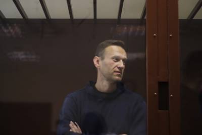 Прокурор огласил фабулу обвинения Навального в клевете против ветерана