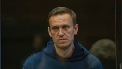 Суд: Навальный специально опорочил честь ветерана войны