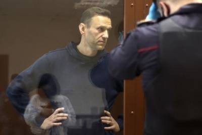 Навальный не признал вину в клевете на ветерана