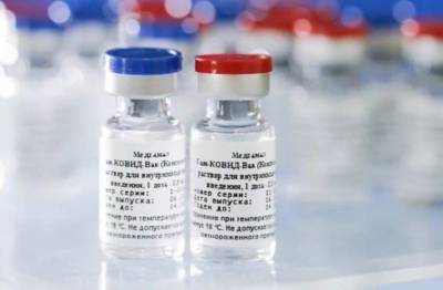 Эксперты трех университетов США назвали преимущества российской вакцины «Спутник V»
