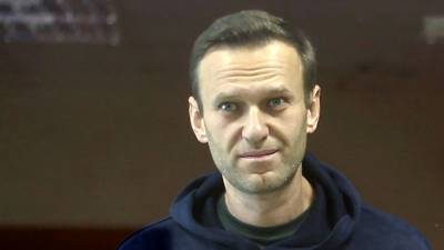 "Моральные страдания": Навальный не понял, в чем его обвиняют