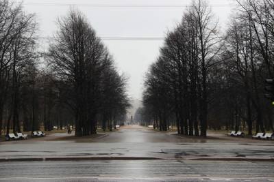 Районная администрация выплатит штраф за состояние Московского парка Победы