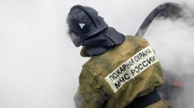 Мать и дочь погибли при пожаре в собственной квартире на Урале