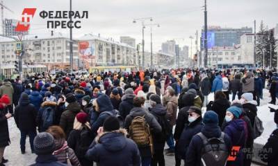 Екатеринбургский депутат призвал Евросоюз не вмешиваться в митинги