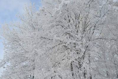 В Тверской области пять дней будет аномально-холодная погода