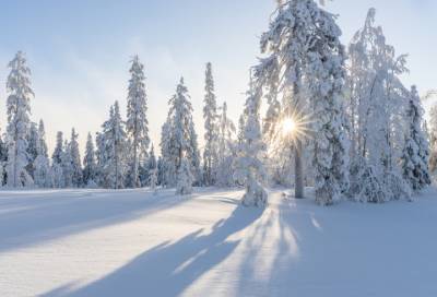 Мороз до -22, гололед и снег: погода в Ленобласти на 6 февраля