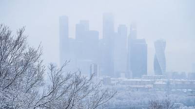 Синоптики предупредили москвичей о самых холодных днях этой зимы