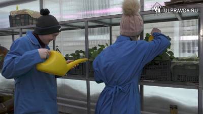 Ренат Алиулов - В Ульяновске ментальную молодежь научат самостоятельно ухаживать за цветами и выращивать овощи - ulpravda.ru - Ульяновск