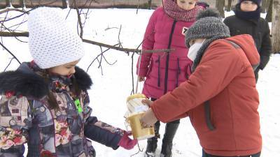 Школьники помогают птицам пережить морозы