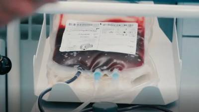В Городской станции переливания не хватает запасов крови - piter.tv - Санкт-Петербург