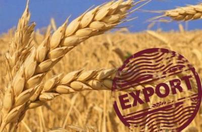 Поможем США и Украине: к чему приведут новые экспортные пошлины на зерно
