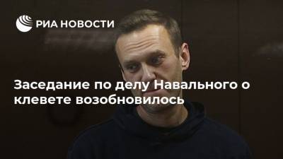 Заседание по делу Навального о клевете возобновилось