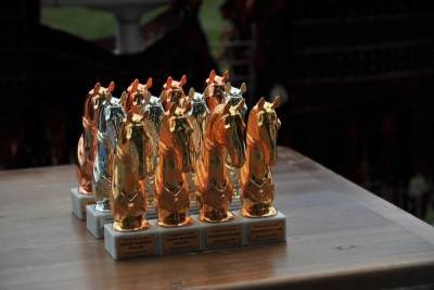 На Ставрополье воспитывают чемпионов конного спорта