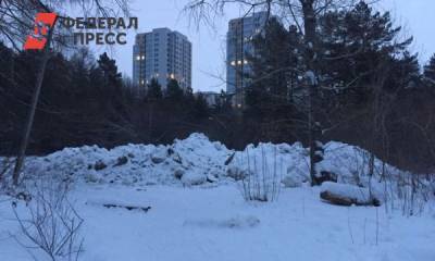 В городском бору Челябинска обнаружили незаконную снегосвалку