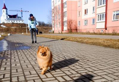 В Беларуси утвердили госпрограмму «Комфортное жилье и благоприятная среда»