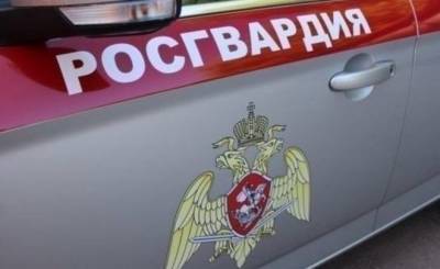 В Казани задержали мужчину, угрожавшего прохожей пневматическим пистолетом