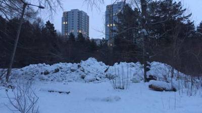 В Челябинский бор вывозят грязный снег в городских дорог