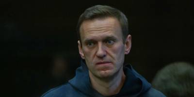 Эксперты поддержали изменение наказания Навальному на реальный срок