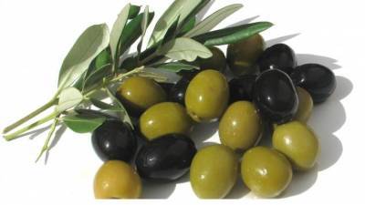 У берегов Хайфы нашли древний оливковый завод