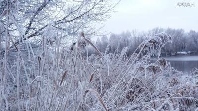 Из дождей в морозы: Мордовия может оказаться в ледяном плену