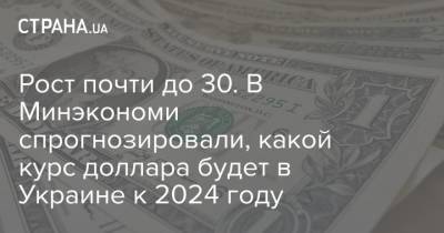 Рост почти до 30. В Минэкономи спрогнозировали, какой курс доллара будет в Украине к 2024 году