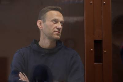 Навальный в суде назвал внука ветерана проституткой и торговцем дедом