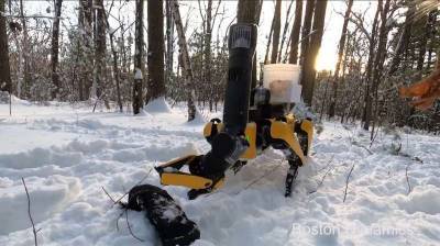 Boston Dynamics представил самозаряжающегося робопса Spot