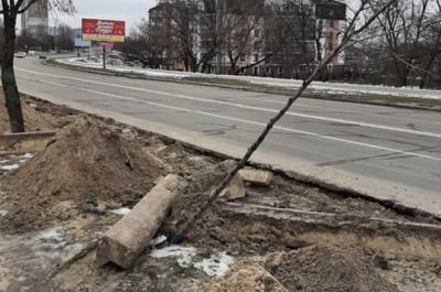 В Киеве продолжили электрокабель и уничтожили деревья: фото плачевных последствий