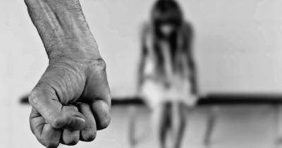 Винничанин получил наказание за изнасилование 7-летней падчерицы