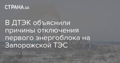 В ДТЭК объяснили причины отключения первого энергоблока на Запорожской ТЭС