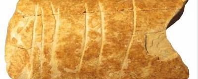 В Израиле найден древнейший орнамент в истории