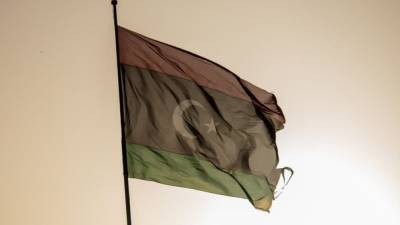 Выборы в Ливии прошли согласно социологическому прогнозу Шугалея