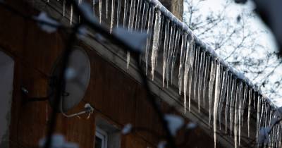 Мэрия Калининграда дала управляющим компаниям рекомендации по работе в мороз