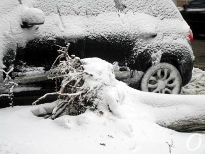 Погода в Одессе 6 февраля: быть ли снегопаду?