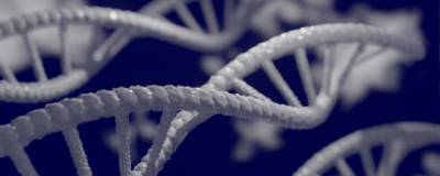 Ученые нашли определяющие форму лица человека гены