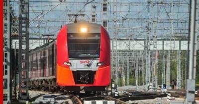 Прибывающих в Россию на поезде обязали иметь справки об отсутствии COVID-19
