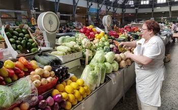 Россиянам пообещали снижение цен на овощи и фрукты