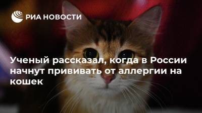 Ученый рассказал, когда в России начнут прививать от аллергии на кошек