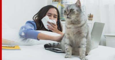 Вакцина от аллергии на кошек появится в России в 2023 году