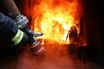 В Выборгском районе пожарные час тушили частный дом