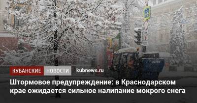 Штормовое предупреждение: в Краснодарском крае ожидается сильное налипание мокрого снега
